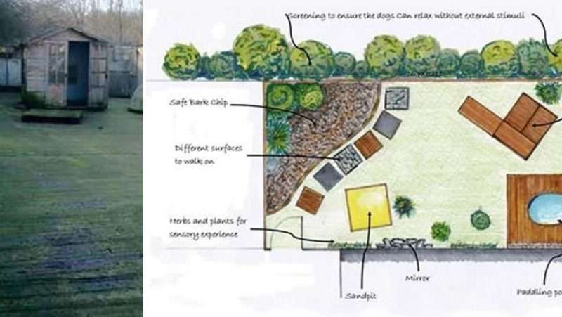 Clearway sponsors Foal Farm Animal Rescue Centre