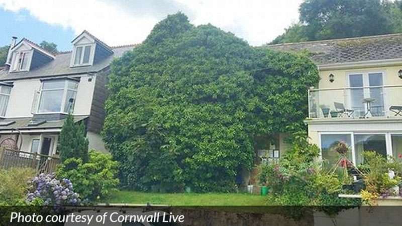 One in ten homes in Cornwall is left empty