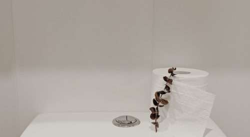 cctv in toilets - rules