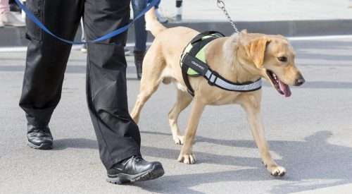 Security dog units from Clearway
