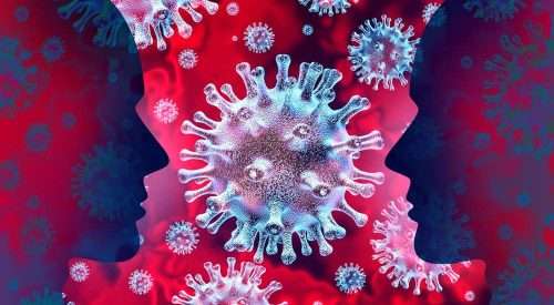 shutterstock_1621997023