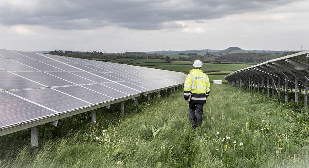 solar farm panels