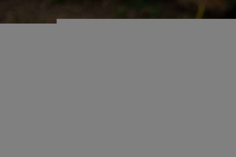 What are the requirements for Crime Scene cleanup?