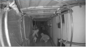 Clearway security in action