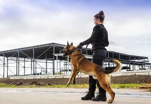 K9 Security officer with dog